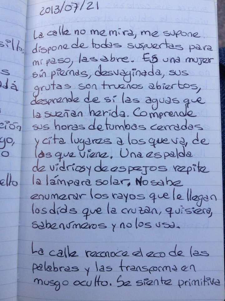 20130721-083828 a.m..jpg